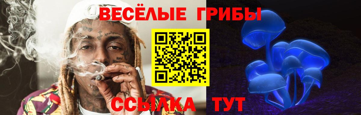 Белово  Галлюциногенные грибы MAGIC MUSHROOMS  Псилоцибиновые грибы GOLDEN TEACHER  Вход с VPN 